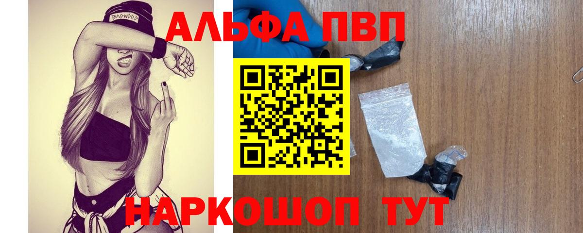 Alfa_PVP СК Гатчина