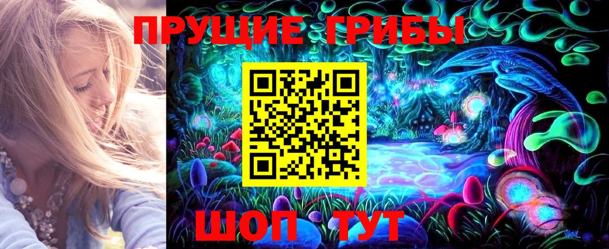 Галлюциногенные грибы Psilocybe  Галлюциногенные грибы прущие грибы  Гатчина  Вход с VPN 