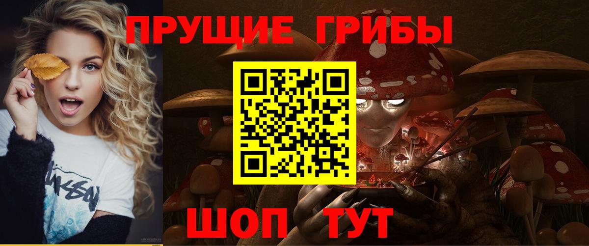 Галлюциногенные грибы мухоморы Гатчина